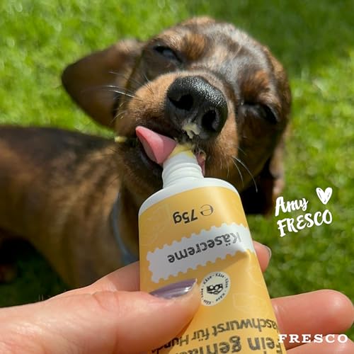 FRESCO Dog Fein Gemacht! Käsecreme Hunde Tube | Vegetarisch mit Edamer, frischen Karotten & Kürbis | Premium Hundeleckerli getreidefrei | 9 x 75g | Aus Deutschland