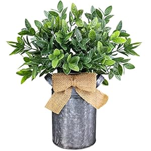 Winlyn 1 Pc Artificial Eucalyptus Leaves Plant in Rustic Galvanized Metal Milk Can Potted Greenery Arrangement for Farmhouse Wedding Table Centerpiece Tiered Tray Shelf Indoor Outdoor Country Decor Winlyn 1 Pc Artificial Eucalyptus Leaves Plant in Rustic Galvanized Metal Milk Can Potted Greenery Arrangement for Farmhouse Wedding Table Centerpiece Tiered Tray Shelf Indoor Outdoor Country Decor