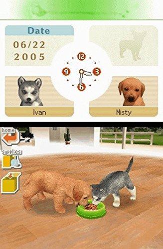 Nintendogs Teckel et ses amis pour s amuser en voyage sur DS
