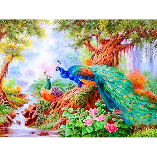 Kits de forage complet paon 80x160cm diamant painting point de croix peinture strass