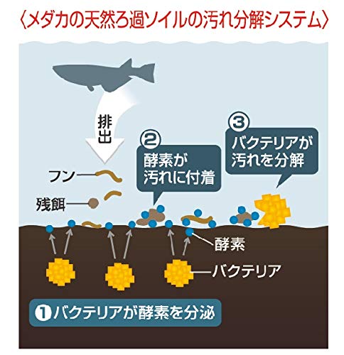 水槽立ち上げ ミナミヌマエビ メダカの飼育ライフ 低予算で作ろう購入品紹介 水草 メダカ これからやぞ