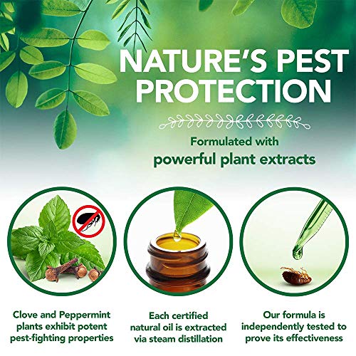 Vet's Best Flea And Tick Yard And Kennel Spray - Yard Treatment Spray Kills Mosquitoes, Fleas, And Ticks With Certified Natural Oils - Plant Safe - 96 Oz Refill #TOP3