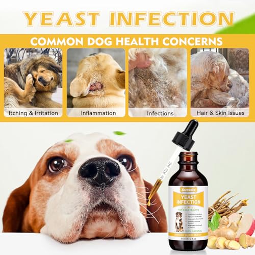 Natürliche Hefepilz-Behandlung für Hunde, Linderung Ohrenentzündungen & Juckender Haut - Stoppt Entzündungen,Hefepilzinfektion bei Hunden, Stärkt Immunsystem - 100% Pflanzlich mit Speckgeschmack 60mL