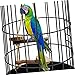 Yardwe 10pcs Parrot Perch Stand Rack Natural Bird Playstand for Training Chewing Balance for Parakeets Cockatiels Lovebirds