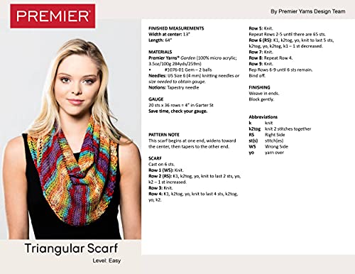 Premier Knitting Yarn Garden Batik Light Worsted Mill Pond 3-Skein Factory Pack (Same Dye Lot) 1076-14, Fun Bright Colors Micro Acrylic Blend, Bundle With 1 Artsiga Crafts Project Bag #TOP1