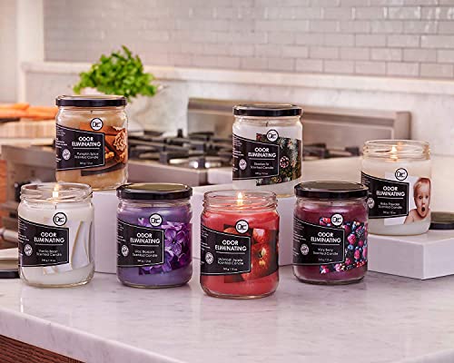 Pumpkin Spice Odor Eliminating Highly Fragranced Candle - Eliminates 95% Of Pet, Smoke, Food, And Other Smells Quickly - Up To 80 Hour Burn Time - 12 Ounce Premium Soy Blend #TOP5