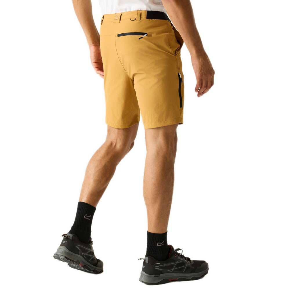 Regatta Herren Shorts A-insttvlltshts