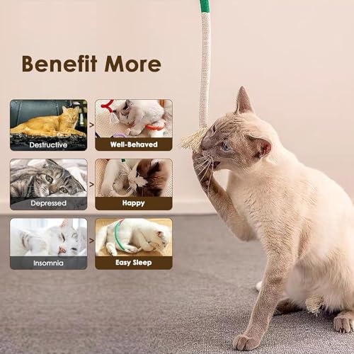 MarverFace 3 Stück Katzenminze Spielzeug, Katzenbeißseil, Katzen Kauspielzeug, interaktives Katzenspielzeug für für Katzen Zahnpflege und Gegen Mundgeruch
