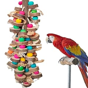 Parrot Toys for Large Birds, Multicolored Wooden Blocks Bird Chewing Toy Parrot Cage Bite Toy or Macaws Cokatoos African Grey and Large Medium Parrot Birds
