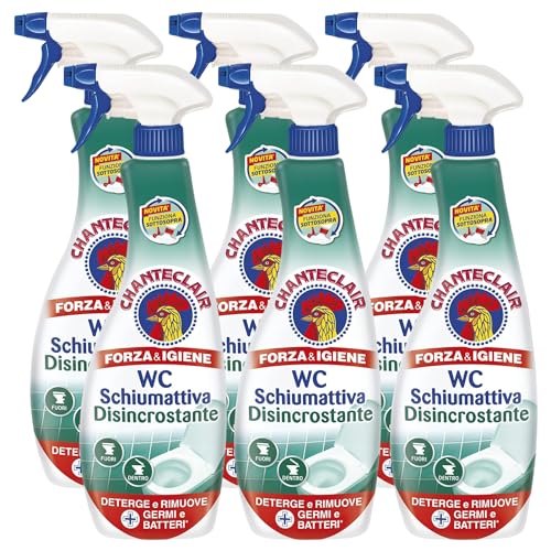 WC Schiumattiva Disincrostante 625ml