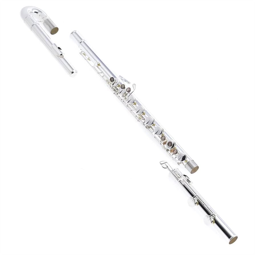 フルート本体 銀メッキ仕上げ 16キー Amazon.co.jp: プロフェッショナル アルト フルート 16