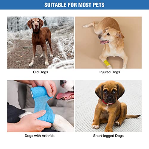 Stonehomy Foldable Dog Car Ramp For Large Dogs, Portable Dog Stairs With Non-Slip Surface For Cars Suv, High Beds & Trucks, Lightweight 5 Step Pet Ladder Ramp Supports 120 Lbs #TOP6