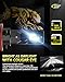 Cougar Motor Fog Bulbs, Auxiliary Non-polarity ATV UTV Pack of 2