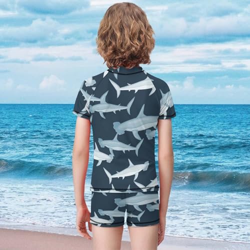 Marine Animals of Hammerhead SharkChildren's Swimsuits Boys Two Piece Suit10-12Y（150cm）2