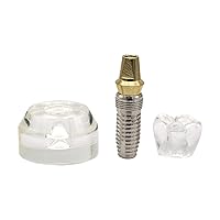 Vista 2 de Dientes dentales Modelo de demostración de implantes Modelo Dientes claros para estudio Enseñar M2020