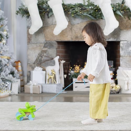 Image of Melissa & Doug First Play Frolicking Frog Wooden Pull Toy (Pack of 6)