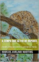 Capa de O TEMPO QUE SE FOI DE REPENTE (OLYMPUS Livro 6)