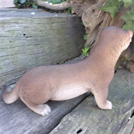 Amazon.co.jp: カワウソの置物 コツメカワウソ 179QY 動物 置物