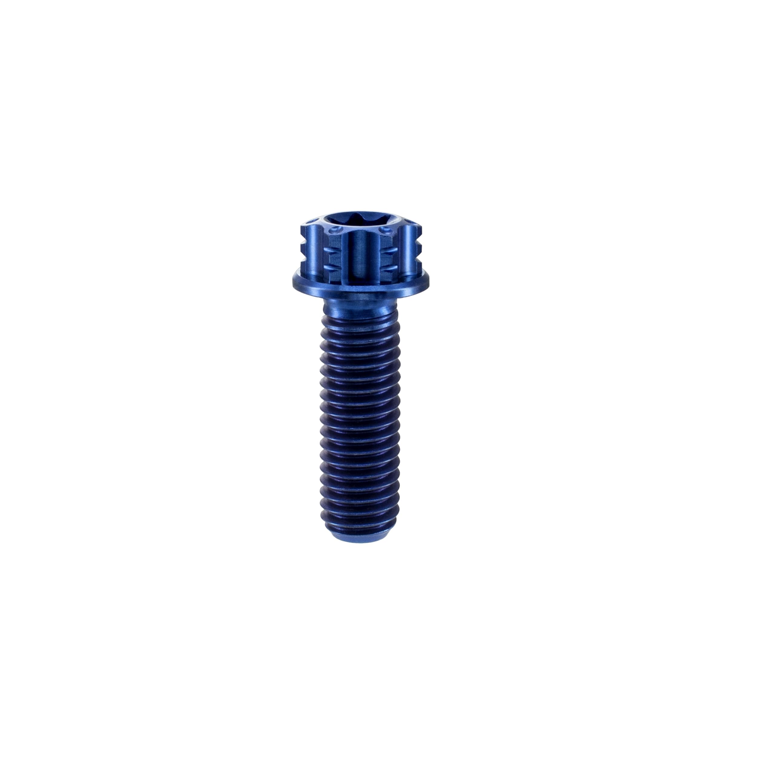 Dynaplus schroeven verzinkt TORX TX-25 platverzonken kop 5 x 100 mm 200