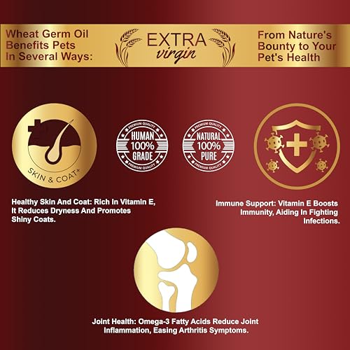 Congo-200ml-Wheat-Germ-Oil-Natural-Vitamin-E-with-Moringa-for-Birds-Cats-Dogs-Horse-and-Other-Pets