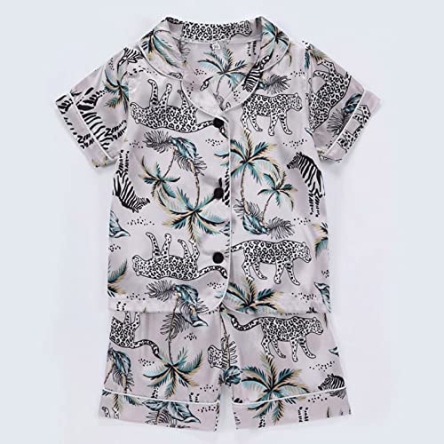Baby Girls Boys Silk Satin 𝐏ajamas 2 Piece Button-Down Clasic 𝐋oungewear Silk Sl𝐞epwear Toddler Summer Cartoon 𝐏js3