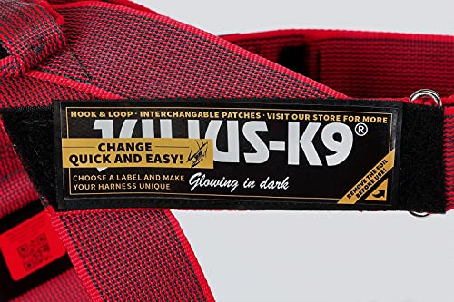 Julius-K9, IDC® Color & Gray® Beltgeschirr