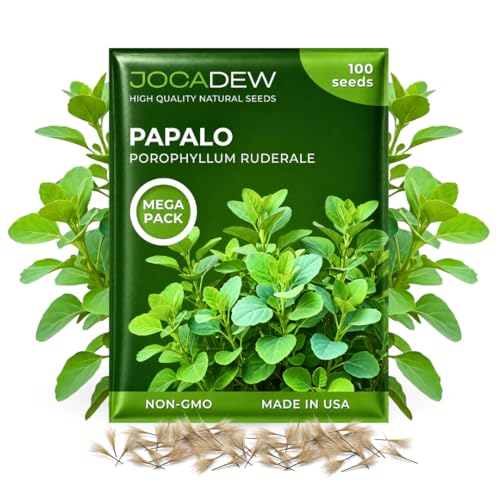 100+ Papalo Seeds Mexican Herb Papaloquelite (Porophyllum ruderale) Heirloom Garden Herb Seeds for Outdoor Garden Raised Beds & Containers
