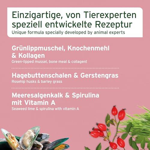 AniForte Junior Active für Welpen und Junge Hunde 250g - Für Knochen, Sehnen, Bänder, Zahn Entwicklung von Welpen & Junghunden. Puppy Ergänzung mit Kalzium, Vitaminen und Mineralien