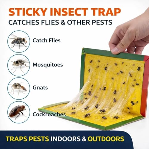 Image of Cockroach Trap for Kitchen, Sticky Insects Trap, Roach Trapp with Strong Glue Pads for Insects, Glue Traps Sticky Insects for Home, Kitchen & Indoor Pest Control