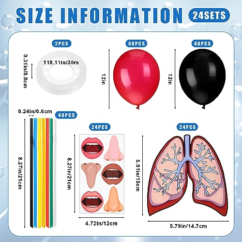 Libima 24 Sets Lung Model Respiratory System Model Toys Science Classroom Study Display Biologic Anatomy Doll and Human Body Puzzle Learning Homeschool Preschool Early Childhood Teaching Aid