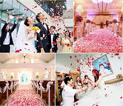 Loiina 3000 Pieces Silk Rose Petals, Artificial Rose Petals for Valentine's Day,Birth Wedding Decoration, Romantic Atmosphere - Image 3