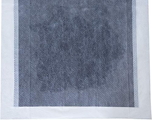 Image of AmazonBasics Pet Training Pads Extra-Large - 60-Count & Carbon Pet Training Pads (Extra Large - 30 Count)