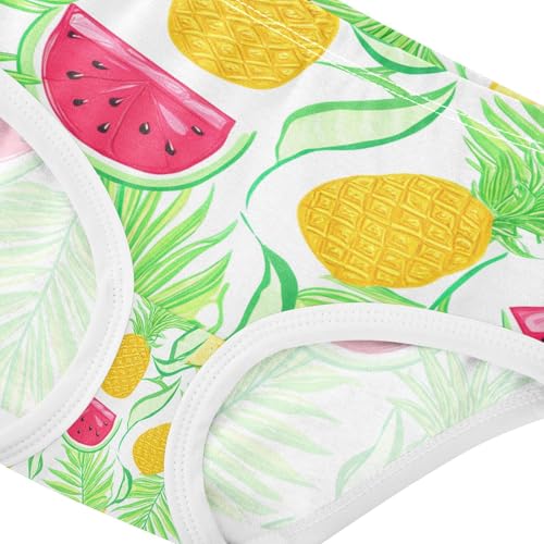 Tropical Pineapple Watermelons Toddler Girls's Underwear 2T 202c18574