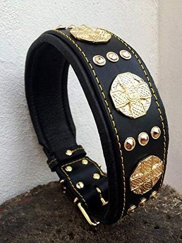 Bestia Maximus Genuine Leather Dog Collar, Large Breeds, Cane Corso, Rottweiler, Bullmastiff, Dogo, Quality Dog Collar, 100% Leather, Studded, L- XXL Size, 2.5 Inch Wide. Padded. Made in Europe!