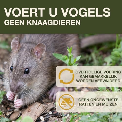 SWISSINNO Vogelvoeder Luzern SMART BIRDS - Hangende Schone Voederplek - Muizen- en Rattenbestendig - Voor Roodborstjes, Nigerzaad - Sterk en Betrouwbaar - Voor Vetbollen - Groen - Afbeelding 3