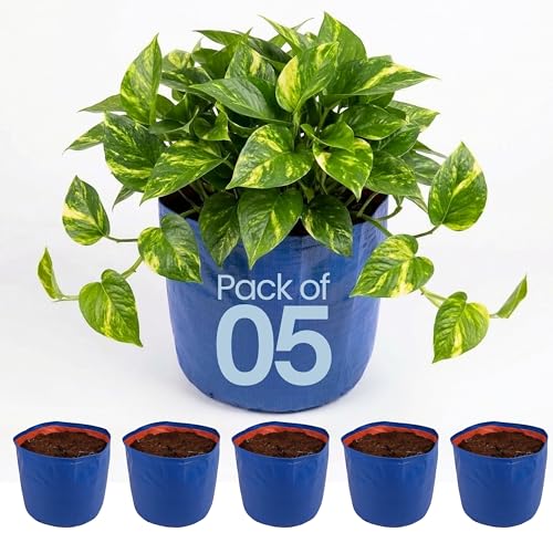 Image of Bio Blooms Round HDPE Plant Grow Bag for Terrace & Kitchen Gardening | Pack of 5 | 6x6 | 350 GSM Heavy Duty Outdoor Grow Bag | Durable Planter for Vegetables, Flowers & Plants | Blue