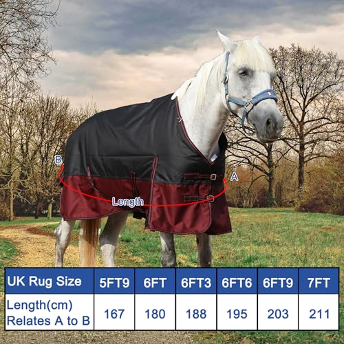 Couverture cheval imperméable et respirante hiver 200g Leberna 1,75m - 6
