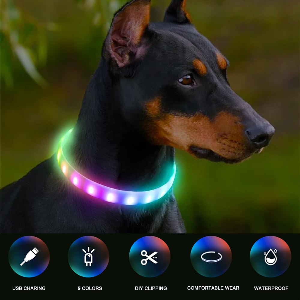 Collare Luminoso Per Cani Joytale - Ricaricabile USB, 9 Modalità Luce, Impermeabile | Per Taglie Piccole, Medie, Grandi - Foto 11