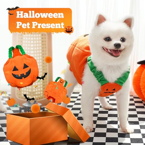 Disfraz de Calabaza para Perros Pequeños y Medianos Halloween miniatura 5