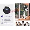 weird-tails-Wireless-Doorbell-Dog-Bells-for-Potty-Training-IP55-Waterproof-Doorbell-Chime-Operating-at-950-Feet-with-55-Melodies-5-Volume-Levels-LED-Flash Wireless Dog Doorbell
