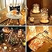Lighting EVER Fairy Lights Battery Operated 20 LED Mini String Lights, Small Pixie Lights for Mason Jars, Crafts, DIY Wedding Party Centerpieces, Bedroom Wall Vines Holiday Garland, 8 Pack