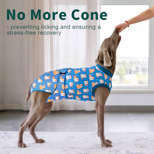 Image of 2 Packs Dog Surgery Recovery Suit,Dog Recovery Suit After Surgery for Female Spay Male Neuter,Soft Anti Licking Recovery Suit for Dogs,Dog Onesie for Abdominal Wounds,XS