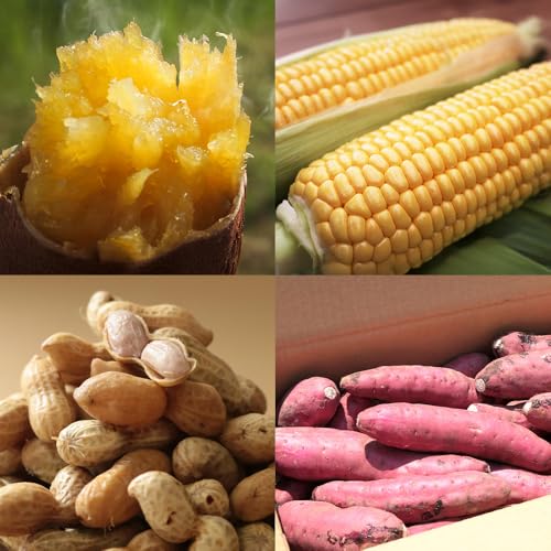 [定期便]定期便 年4回 農家の感動シリーズA ( 冷凍焼き芋 ゴールドラッシュ 塩茹で落花生 紅はるか ) FR-305 |鹿児島県 南大隅町