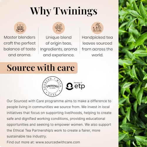 Image of Twinings Assam Tea, 100 Teabags| Pack of 1| Premium Black Tea| Strong Strength| Full-bodied, Malty and Robust Flavour| Handpicked Leaves| Enjoy a Hot Cup of Tea