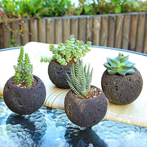 Natural Lava Stone Succulent Pots Set Of 4, 2.15-2.5In Mini Succulents Planter For Cactus, Herbs, Aloe, Good Drainage Volcano Rock Plant Pot With Stand For Home Indoor Outdoor Decor Housewarming Gift #TOP6