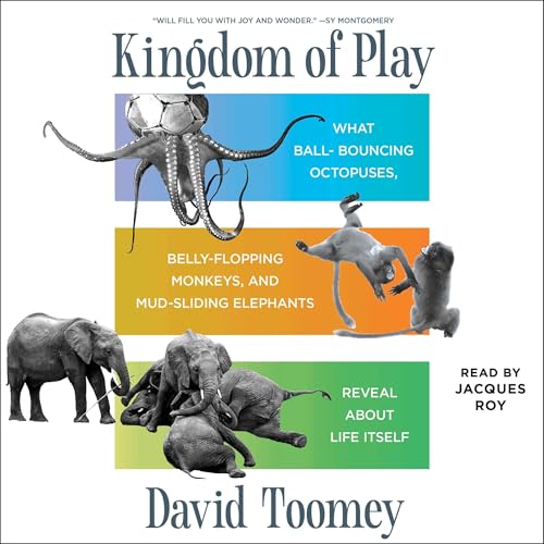 Kingdom of Play Audiolibro Por David Toomey arte de portada