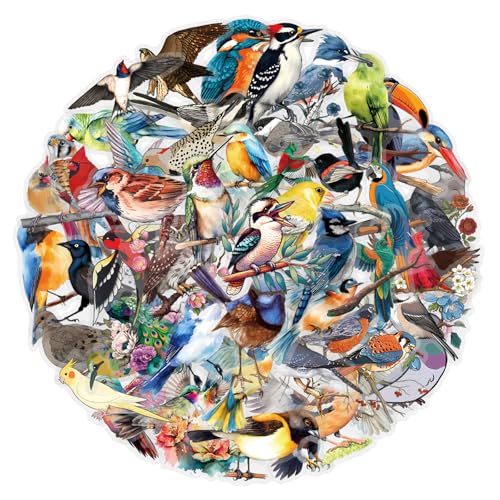 60 PCS Transparent PET Holographic Bird Stickers Waterproof Vinyl Retro Watercolor Bird Decals for Skateboard Fridge Laptop Phone Luggage(Bird)