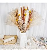 Natürliche Trockenblumen Deko Set - 64 Stück Pampasgras Für Boho Style Wohnaccessoires