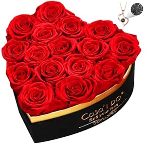 Preserved Roses Flowers for Deliver...