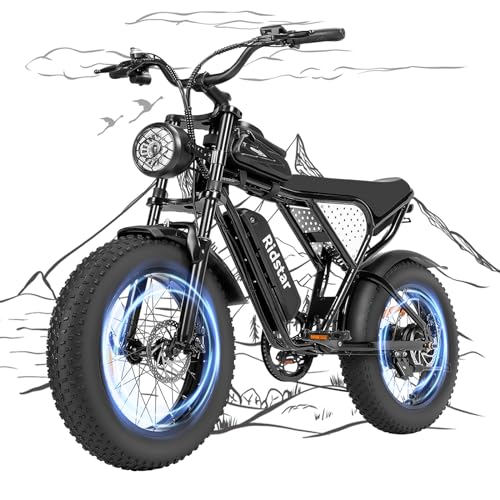Electric Bike for Adults